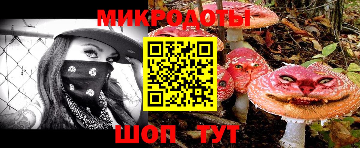 Галлюциногенные грибы Cubensis Карасук